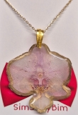 Orchideetjes