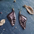 Butterfly wings