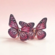 Little pink butterflies 