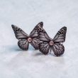 Little black butterflies 