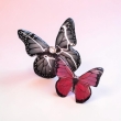 Butterfly pins
