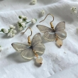 White butterflies 