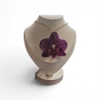 A very beautiful purple orchid
