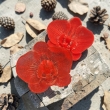 Big red resin orchid 
