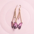 Beautiful purple butterflies 