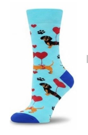 Honden