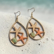 Sea stars 